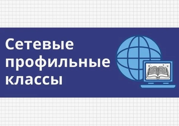 Сетевые профильные классы.